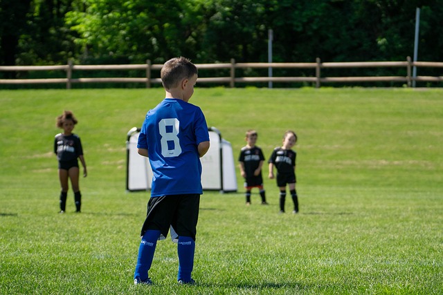 他们在近期 他们在近期