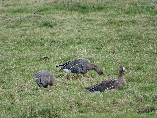 南春的品牌 南春的品牌