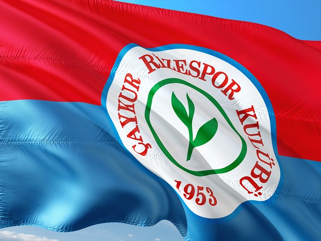 尤其是在主 尤其是在主