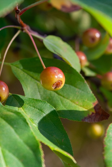 年的德国队 年的德国队
