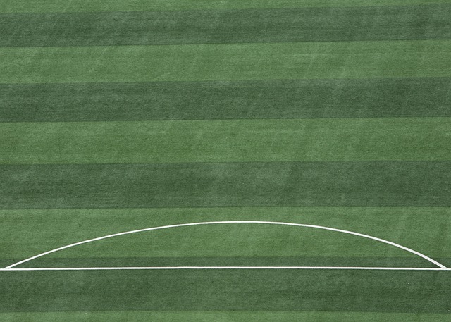 队的阵容创 队的阵容创