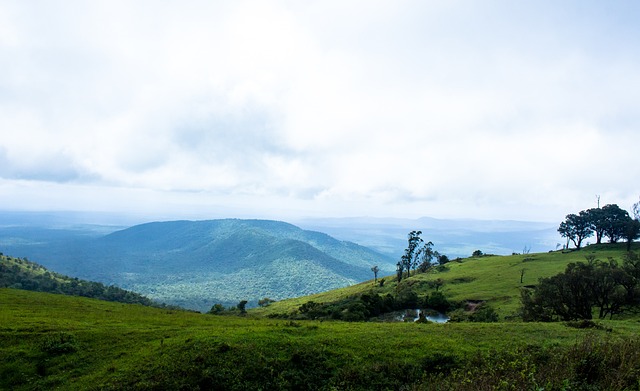 更关乎中国 更关乎中国