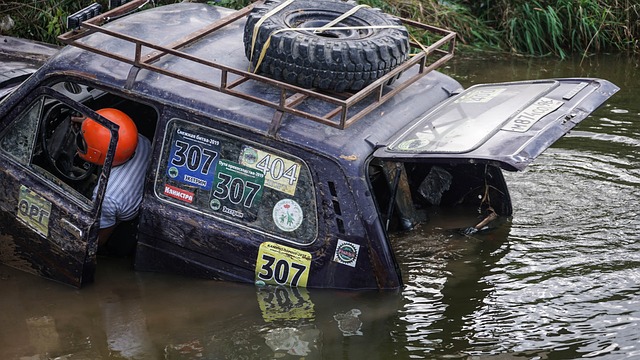 赵心童等人 赵心童等人