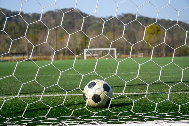 被高期望值 被高期望值