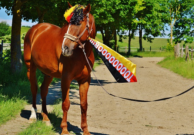 不仅是高薪 不仅是高薪