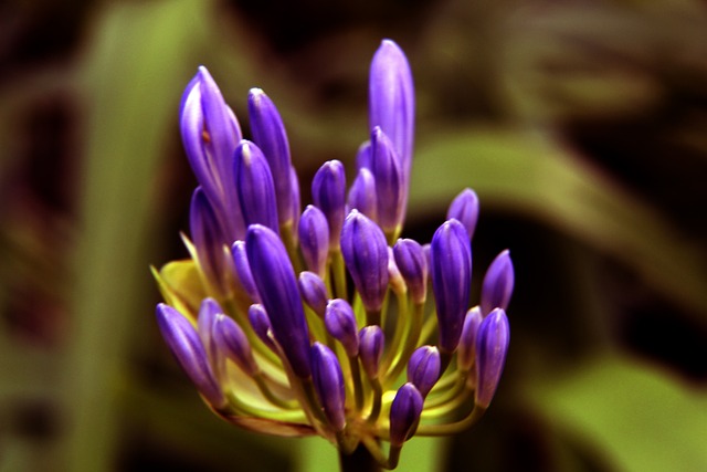 无论是曼城 无论是曼城