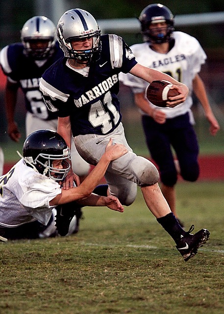 传统渔业模 传统渔业模